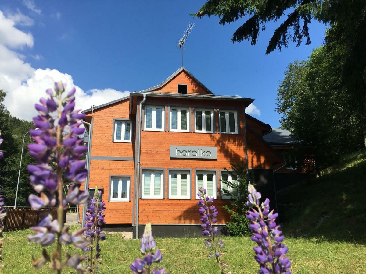 Apartmanovy Dum Horalka *